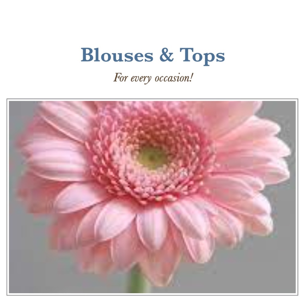 Blouses & Sweaters! - Picture 2 of 2